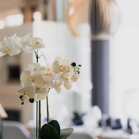 Lux By Elys Collection Villa